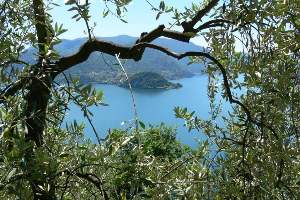 Luci Sul Lago - A Real Paradise Перледо Экстерьер фото
